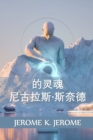 Image for ????-?????? : The Soul of Nicholas Snyders, Chinese edition