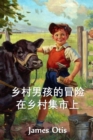 Image for ????????????? : The Adventures of a Country Boy at a Country Fair, Chinese edition