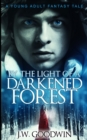 Image for By The Light Of A Darkened Forest