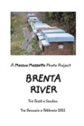 Image for Brenta River