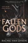 Image for Fallen Gods : An enemies-to-lovers fantasy romance filled with passion, spice and Norse mythology