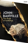 Image for The Book of Evidence