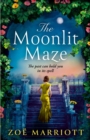 Image for The Moonlit Maze
