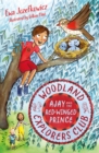 Image for Ajay and the Red-winged Prince