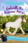 Image for Goliath the rescue horse