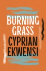 Image for Burning Grass