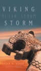 Image for Viking Storm
