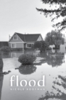 Image for flood