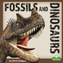 Image for Fossils and Dinosaurs