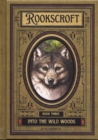 Image for Into the Wild Woods : 3