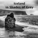 Image for Iceland : in Shades of Grey