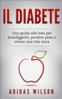 Image for Il Diabete