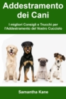 Image for Addestramento Dei Cani: I Migliori Consigli E Trucchi Per l&#39;Addestramento Del Vostro Cucciolo