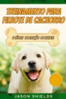 Image for Treinamento Para Filhote de Cachorro