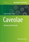 Image for Caveolae: Methods and Protocols