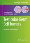 Image for Testicular Germ Cell Tumors: Methods and Protocols