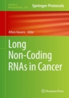 Image for Long Non-Coding RNAs in Cancer : 2348