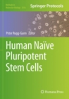 Image for Human naèive pluripotent stem cells