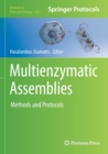 Image for Multienzymatic Assemblies
