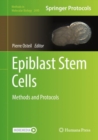 Image for Epiblast Stem Cells: Methods and Protocols