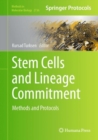 Image for Stem cells and lineage commitment  : methods and protocols