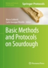 Image for Basic Methods and Protocols on Sourdough