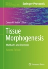 Image for Tissue Morphogenesis