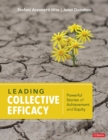 Image for Leading Collective Efficacy : Powerful Stories of Achievement and Equity