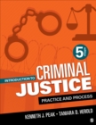 Image for Introduction to Criminal Justice : Practice and Process