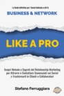 Image for Like a Pro : La guida professionale dedicata a chi vuole fare Business e Network usando i Social Network!