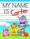 Image for My Name is Carter