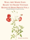 Image for Wall Art Made Easy : Ready to Frame Vintage Redout? Rose Prints Vol 5: 30 Beautiful Illustrations to Transform Your Home