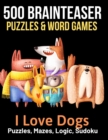 Image for 500 Brainteaser Puzzles &amp; Word Games