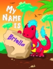 Image for My Name is Briella : 2 Workbooks in 1! Personalized Primary Name and Letter Tracing Book for Kids Learning How to Write Their First Name and the Alphabet with Cute Dinosaur Theme, Handwriting Practice
