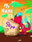 Image for My Name is Skye