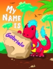Image for My Name is Gabriela : 2 Workbooks in 1! Personalized Primary Name and Letter Tracing Book for Kids Learning How to Write Their First Name and the Alphabet with Cute Dinosaur Theme, Handwriting Practic