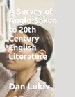 Image for A Survey of Anglo-Saxon to 20th Century English Literature