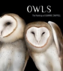 Image for OWLS THE PAINTINGS OF JEANNINE CHAPPELL
