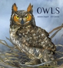 Image for OWLS JEANNINE CHAPPELL 2022 WALL CALENDA