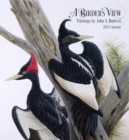 Image for A Birder&#39;s View : Paintings by John A. Ruthven 2025 Wall Calendar