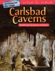Image for Aventuras de viaje: Carlsbad Caverns: Identificacion de patrones aritmeticos (Travel Adventures: Carlsbad Caverns: Identifying Arithmetic Patterns) Read-along ebook