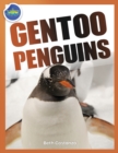 Image for Gentoo Penguins activity workbook ages 4-8