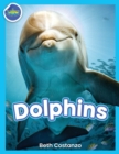 Image for Dolphins!