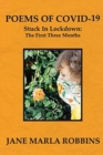Image for POEMS OF COVID-19, Stuck in Lockdown : The First Three Months