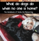 Image for What do dogs do when no one is home?