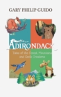 Image for Adirondack