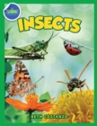 Image for Bugs in My Backyard for Kids : Storybook, Insect Facts, and Activities (Let&#39;s Learn About Bugs and Animals)