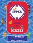 Image for The Super Book of Mazes