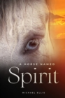 Image for A Horse Named Spirit