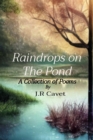 Image for Raindrops on The Pond: A Collection of Poems